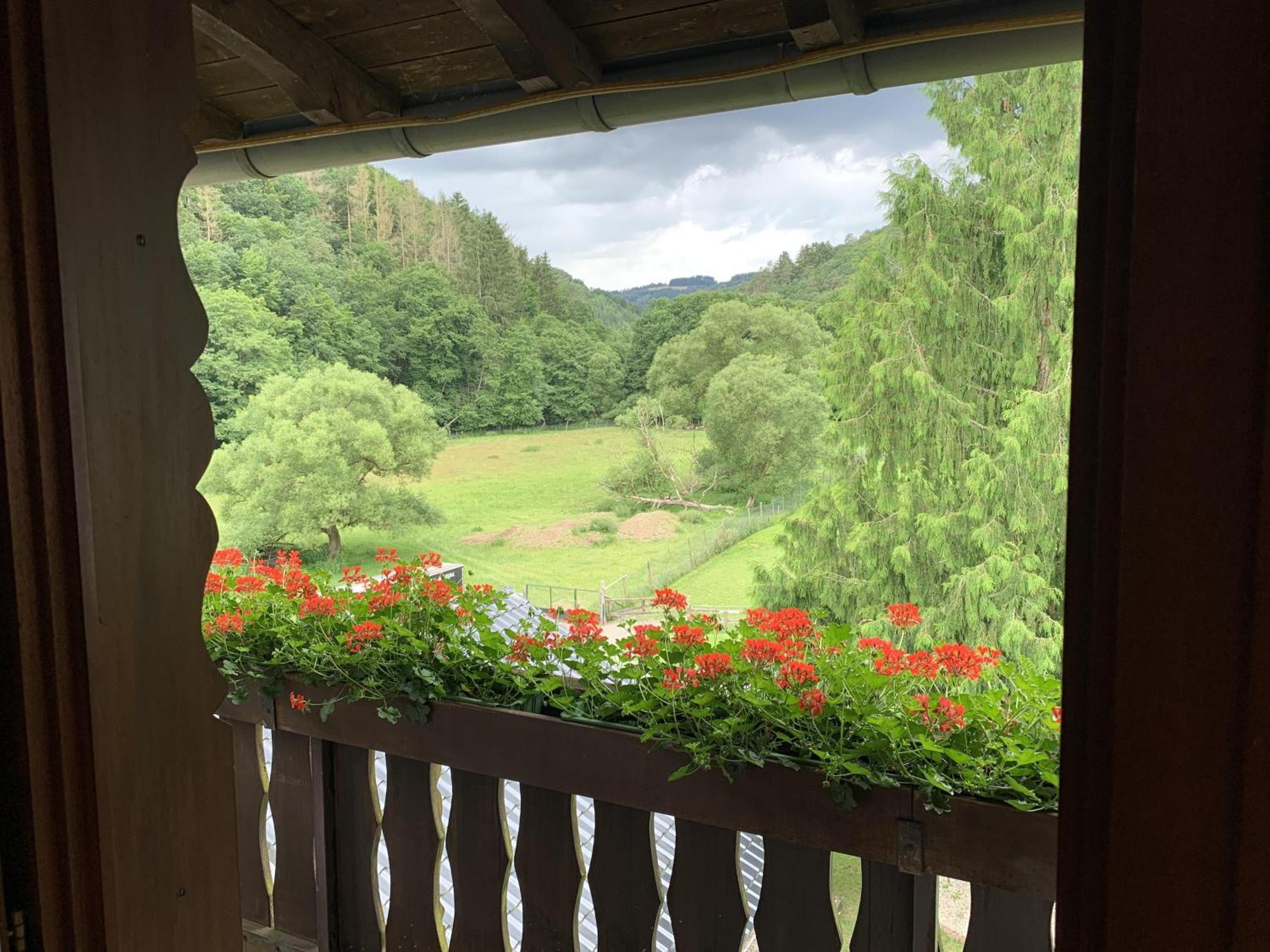 Hotel Forsthaus Volkesfeld Room photo